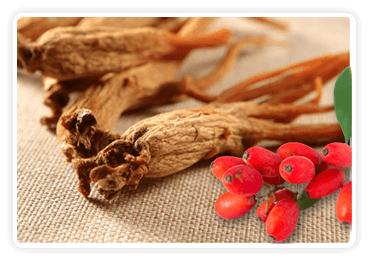 Berberine and Red Ginseng
